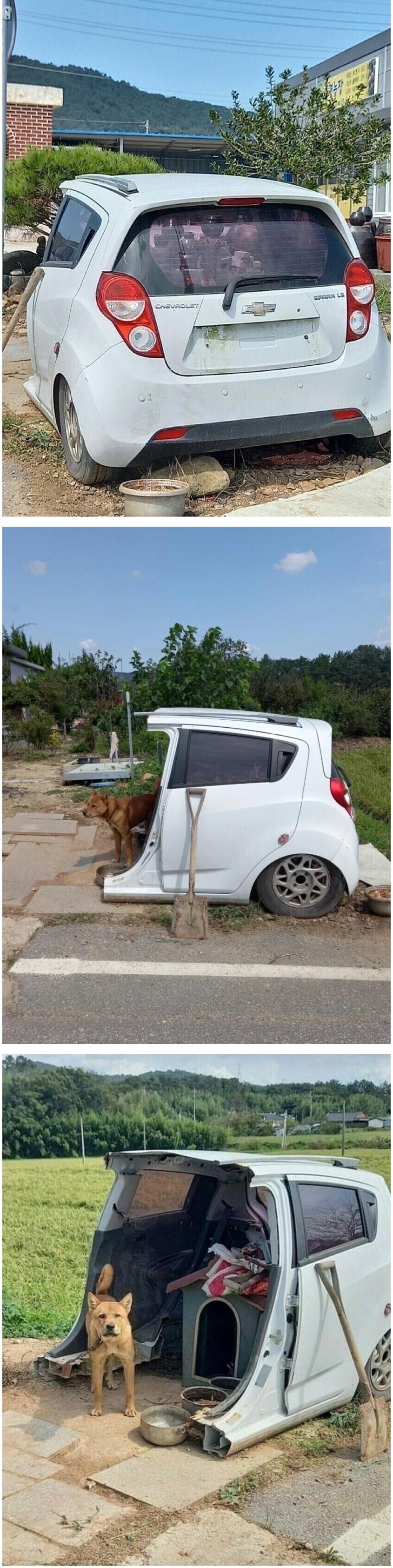 스파크의 시골 생활.jpg_1.jpg