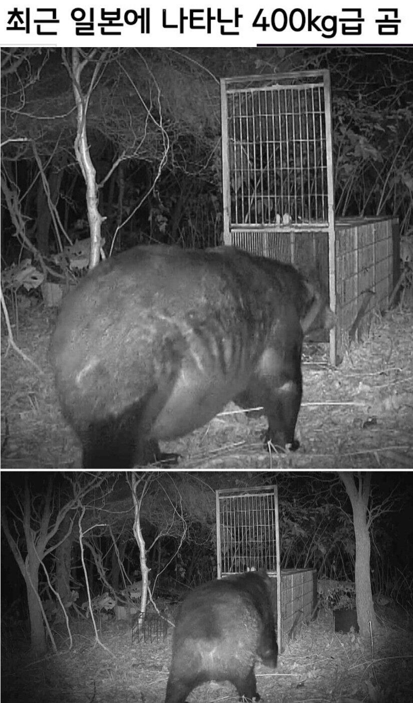 일본에서는 또 공무원 일자리 창출함...부럽다.._2.jpg