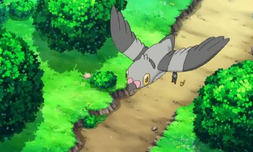 하나지방에 처음 온 지우.jpg_1.jpg