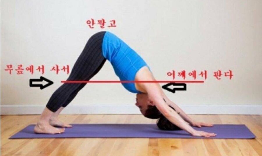 주식 무릎에서 사서 어깨에서 팔기_1.png