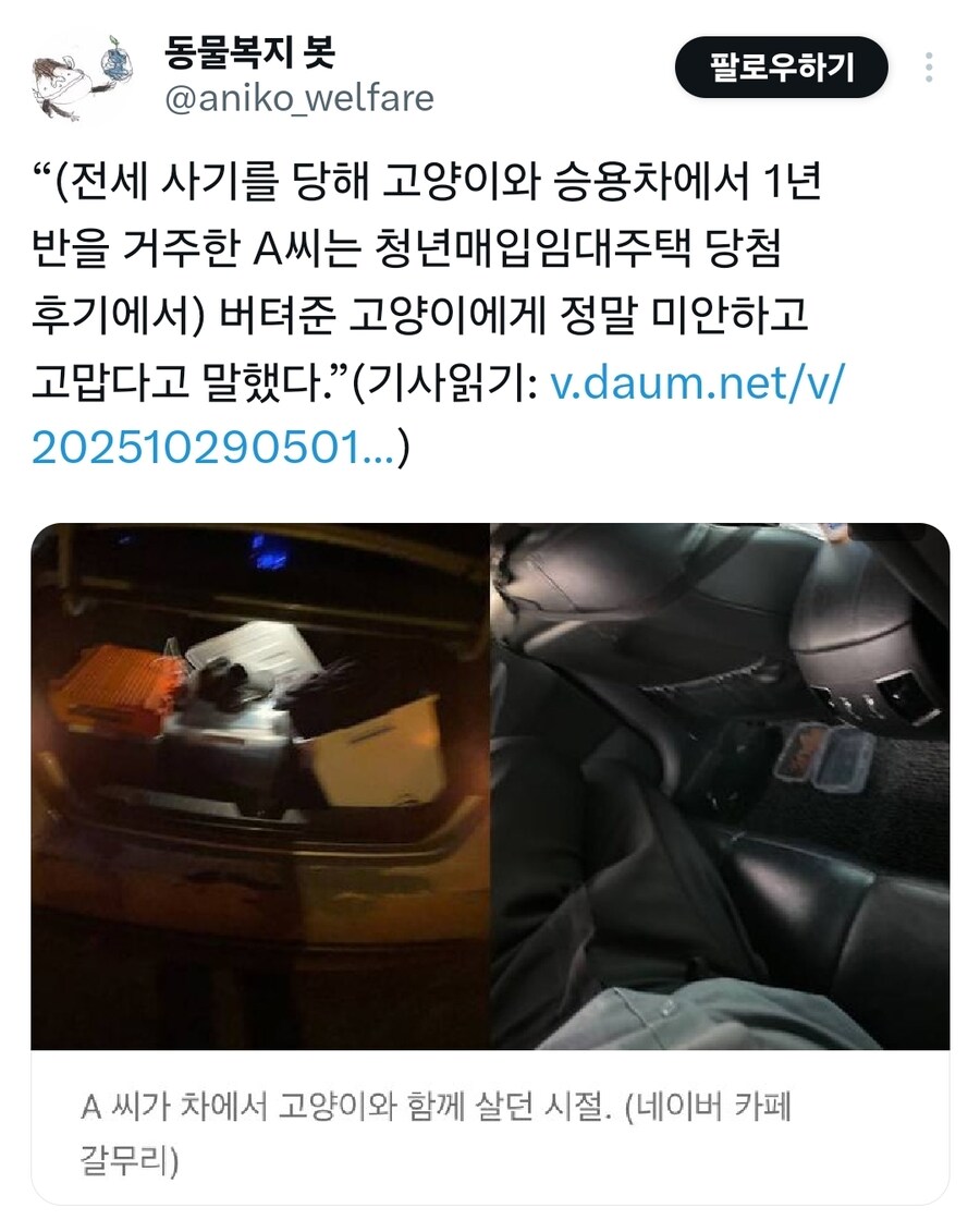 전세사기 당해서 고양이랑 차에서 1년반 산 사람.jpg_1.jpg