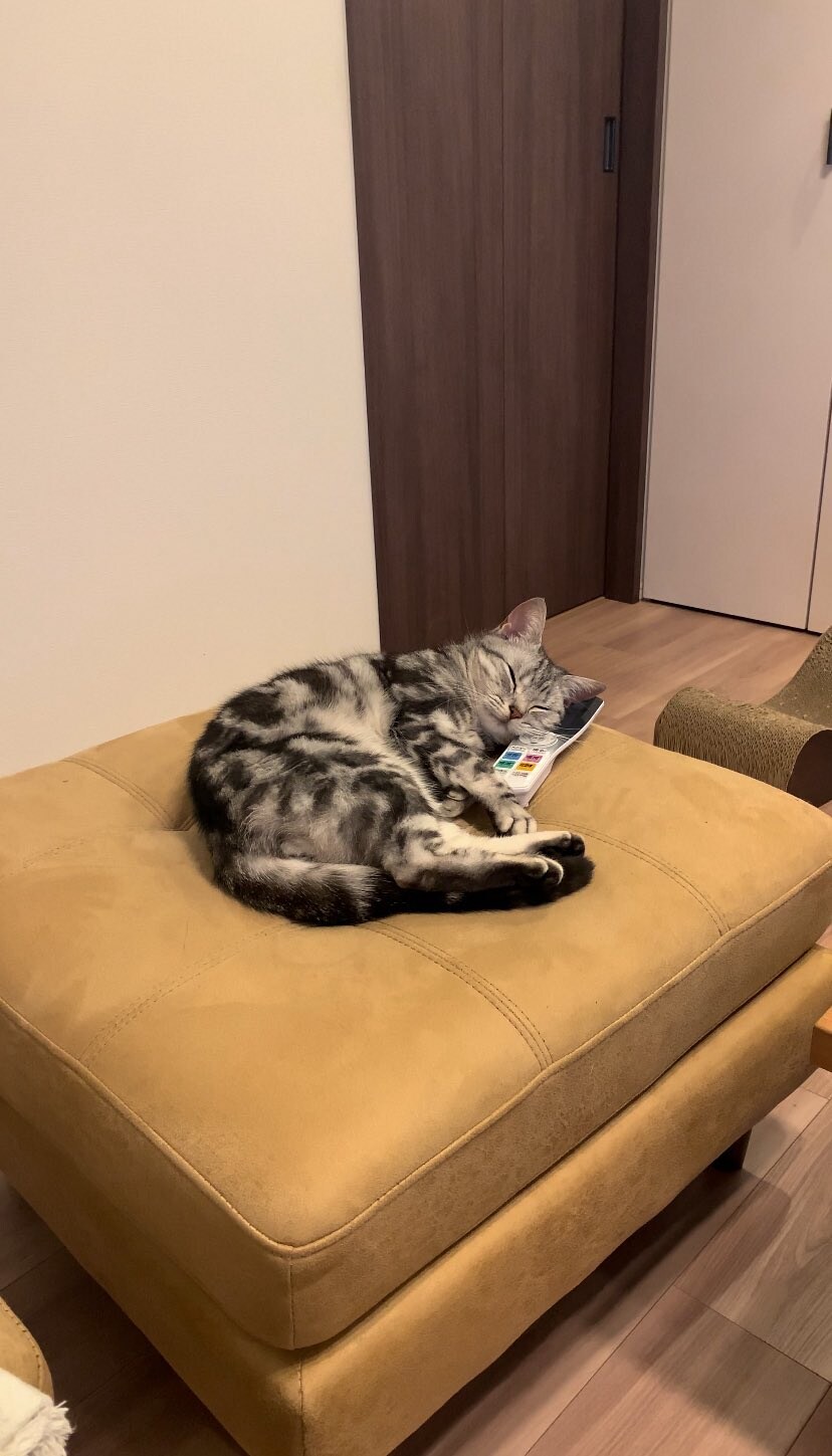 리모컨 사용법.jpg_1.jpg