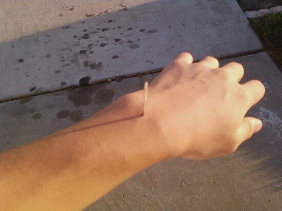 평사원보다도 못한 우리_2.jpg