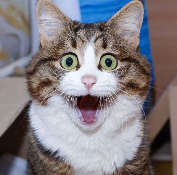 알파벳 L이 없는 나라가 있더라_3.jpg