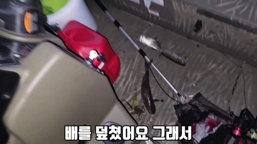 유튜브) 미국에서 폭행 당하고 코피흘리는 유튜버(피 약혐)_4.png