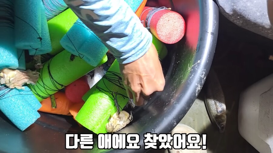 유튜브) 미국에서 폭행 당하고 코피흘리는 유튜버(피 약혐)_15.png