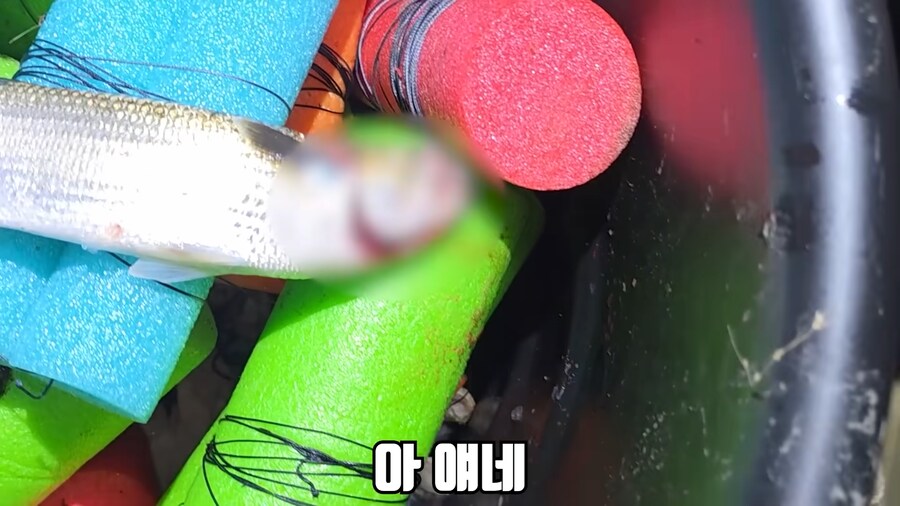 유튜브) 미국에서 폭행 당하고 코피흘리는 유튜버(피 약혐)_16.png