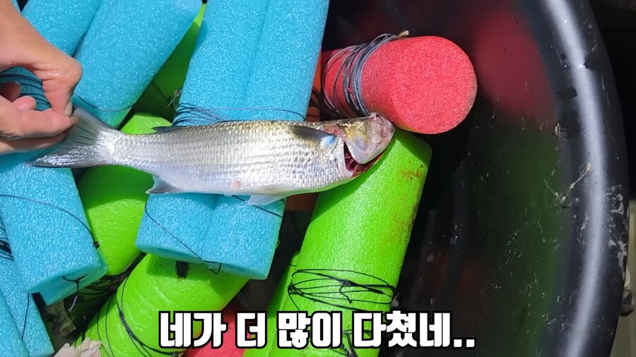 유튜브) 미국에서 폭행 당하고 코피흘리는 유튜버(피 약혐)_18.png