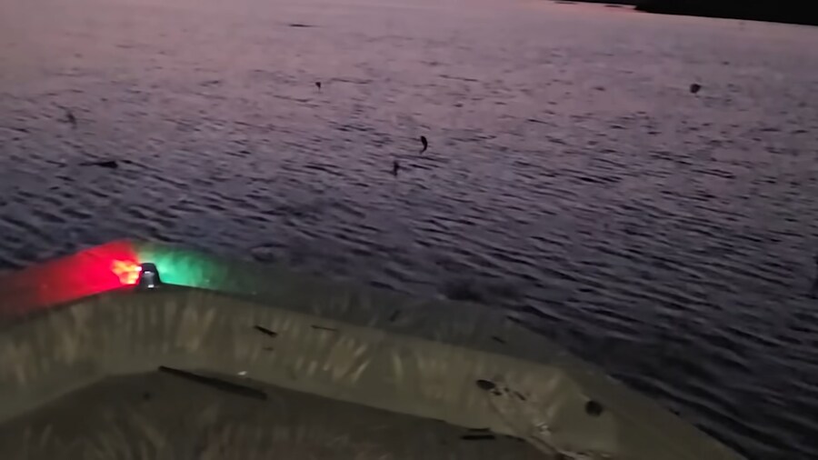 유튜브) 미국에서 폭행 당하고 코피흘리는 유튜버(피 약혐)_21.png