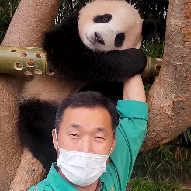 어린시절 푸바오와 할부지_3.jpg