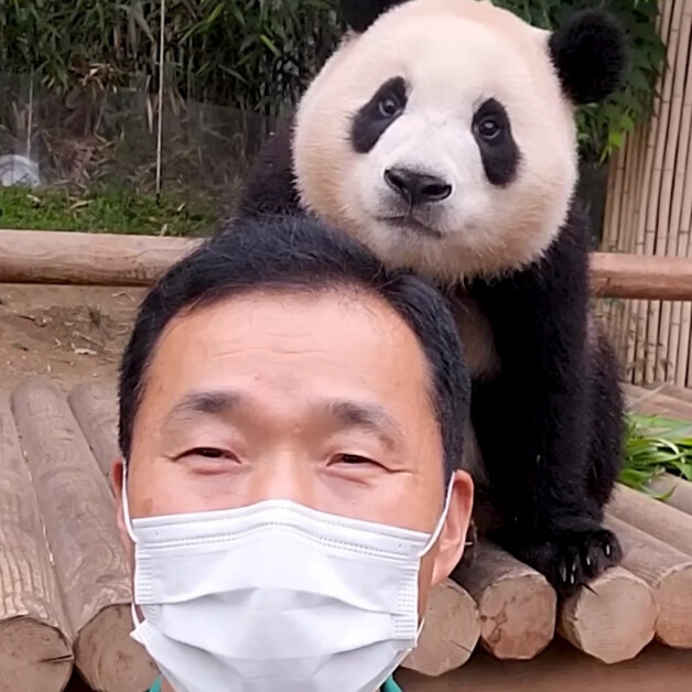 어린시절 푸바오와 할부지_5.jpg