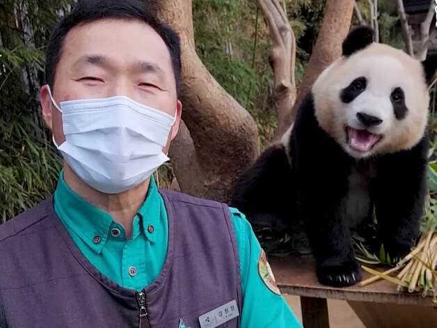 어린시절 푸바오와 할부지_11.jpg