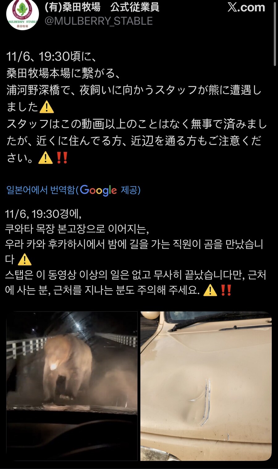 와 홋카이도 곰탱이 존나 커_1.jpg