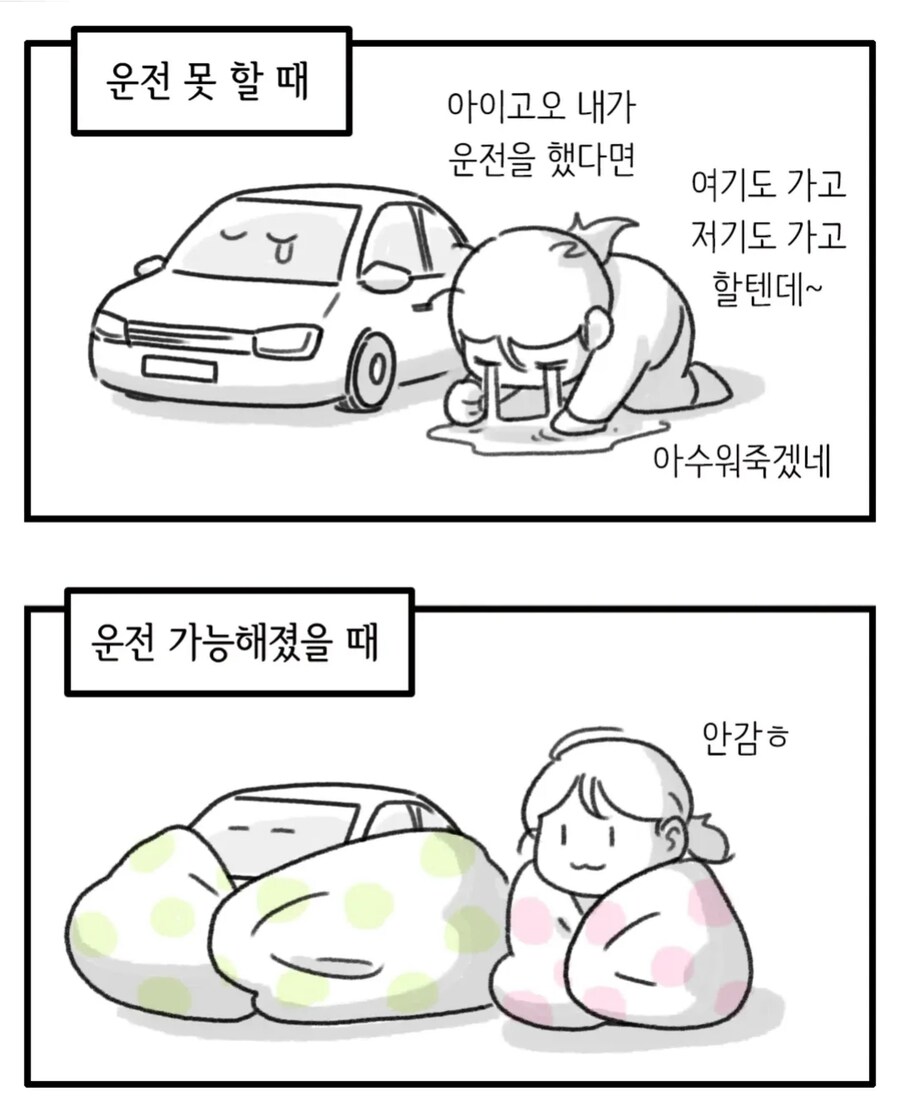 운전할 줄 알면 운전을 안 하게 되는 이유_1.png