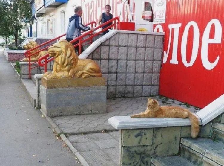 스펙 과장이 심하긴 했지만 어쨌건 취업에 성공했다_1.webp