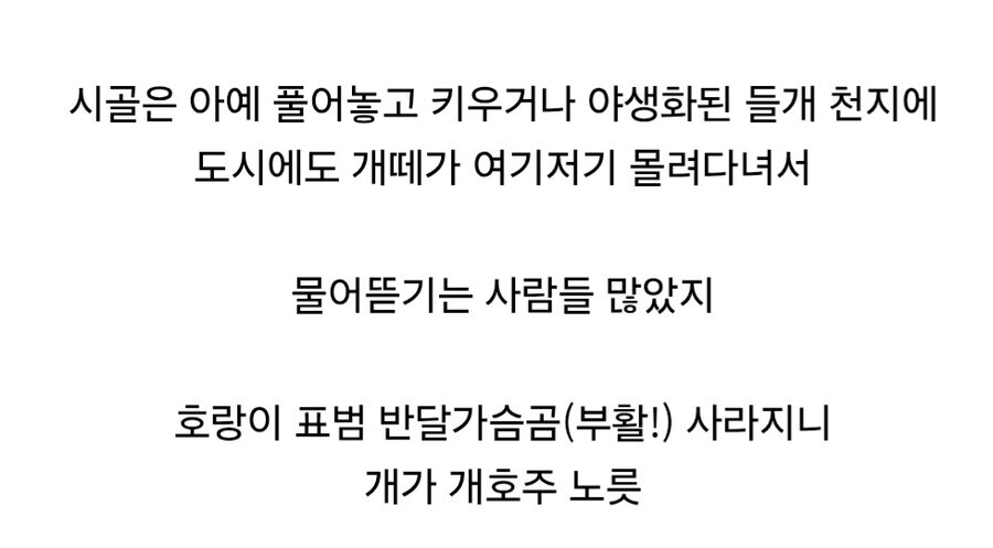 후진국 시절 한국의 치안을 위협하던 생물.jpg_1.jpg