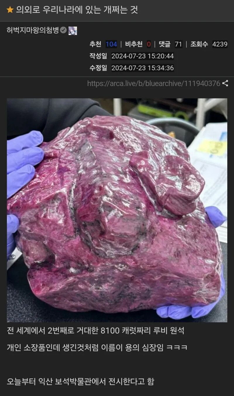 의외로 한국에만 있다는