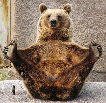 야동 호불호 장면_1.jpg