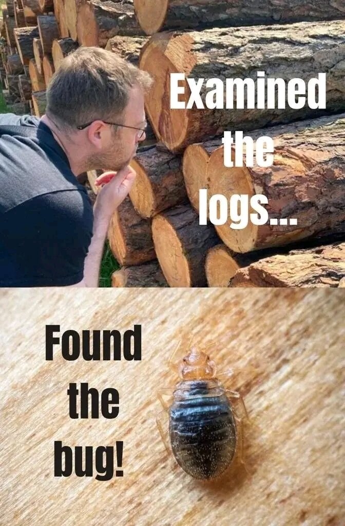 프로그래머들이 업무로 주로 하는 일.jpg_1.png