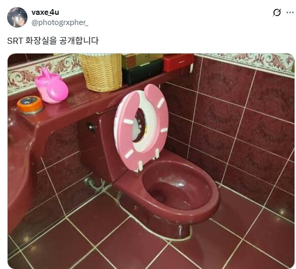 기시감이 느껴지는 SRT 청룡 배색.jpg_6.png