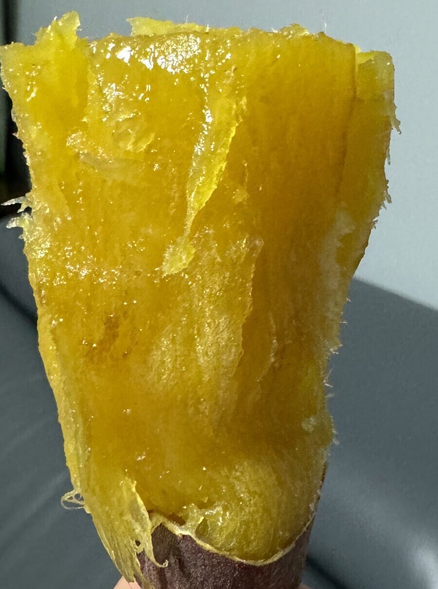 고구마 잘 굽는다고 자랑하는 사람.jpg_2.jpg