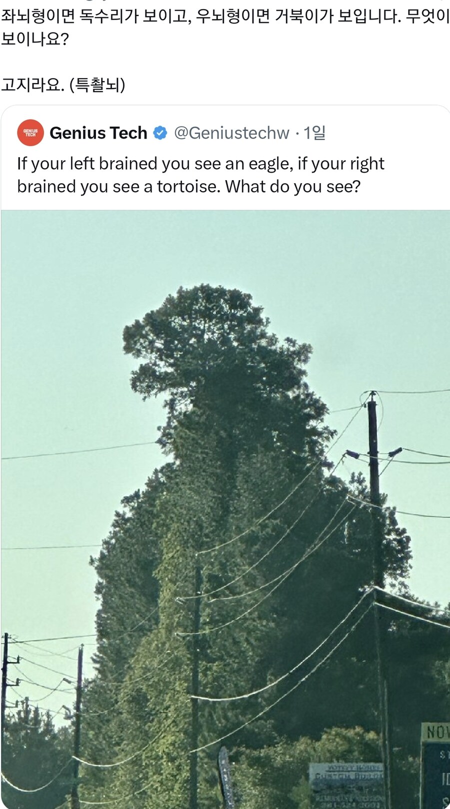 여러분들은 이게 뭐로 보이나요_1.jpg