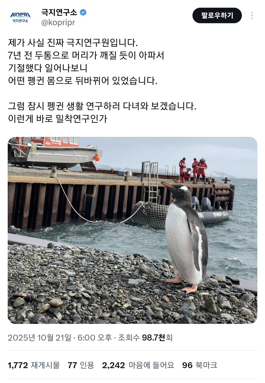 펭귄이 되어버렸따_1.jpg