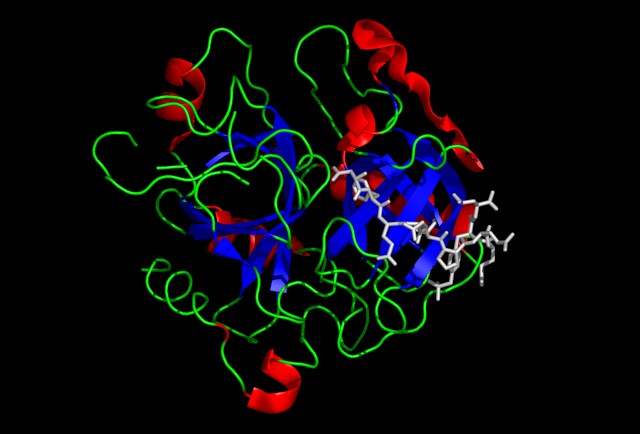 피가 굳는 과정이 난해한 이유_3.png