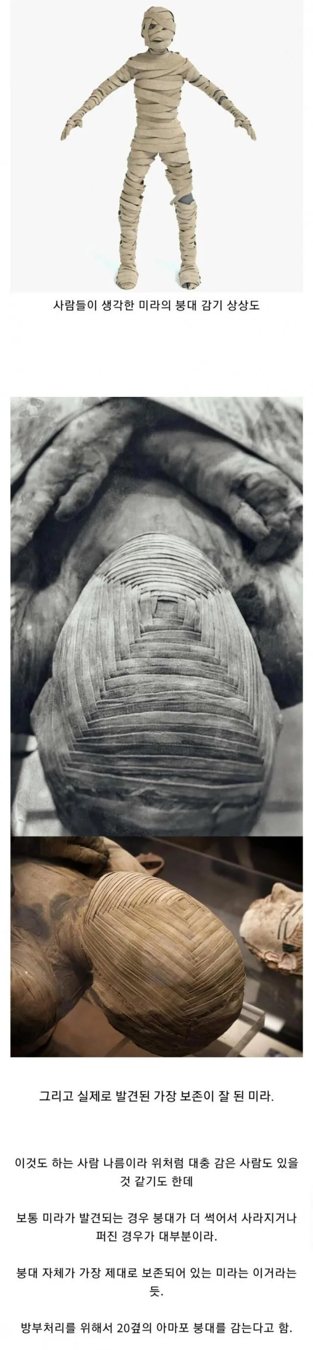 사람들이 상상하는 미이라 붕대 감기 VS 현실.jpg_1.webp