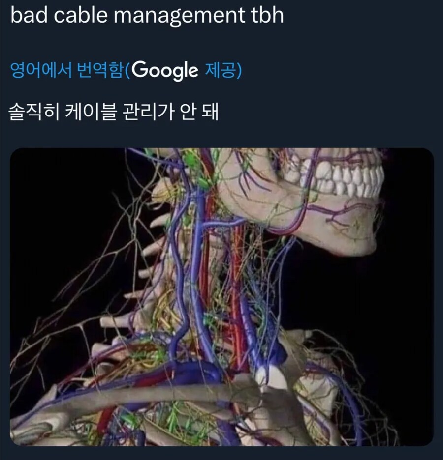 약혐?) 사이버펑크 시대가 필요한 이유_1.png