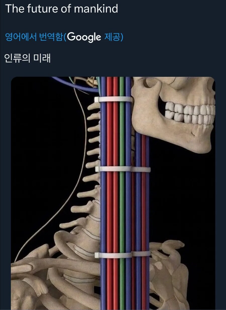 약혐?) 사이버펑크 시대가 필요한 이유_2.png