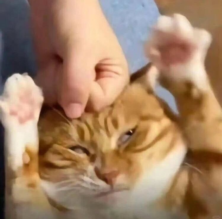 F와 T의 화해 방법.jpg_2.jpg