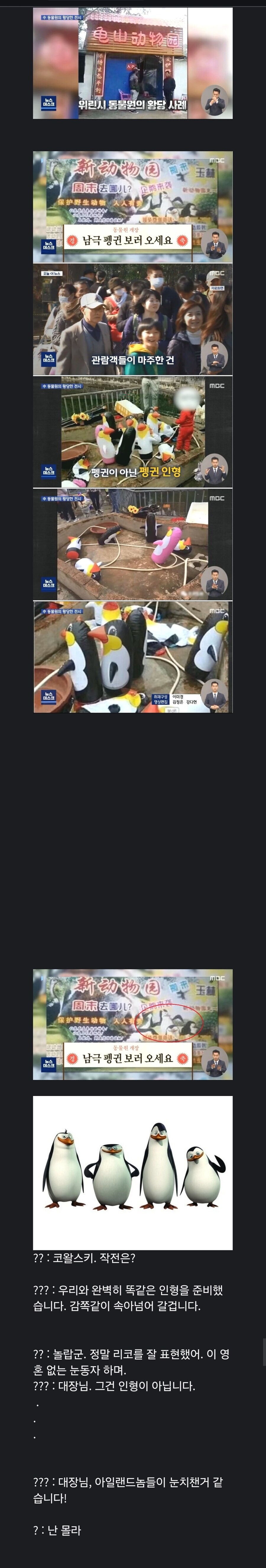 중국에서 벌어진 남극펭귄 공개 대참사_1.jpg