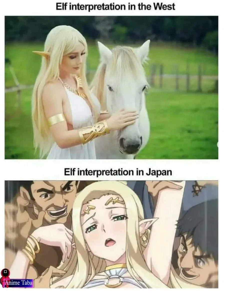 엘프 이상과 현실_1.webp