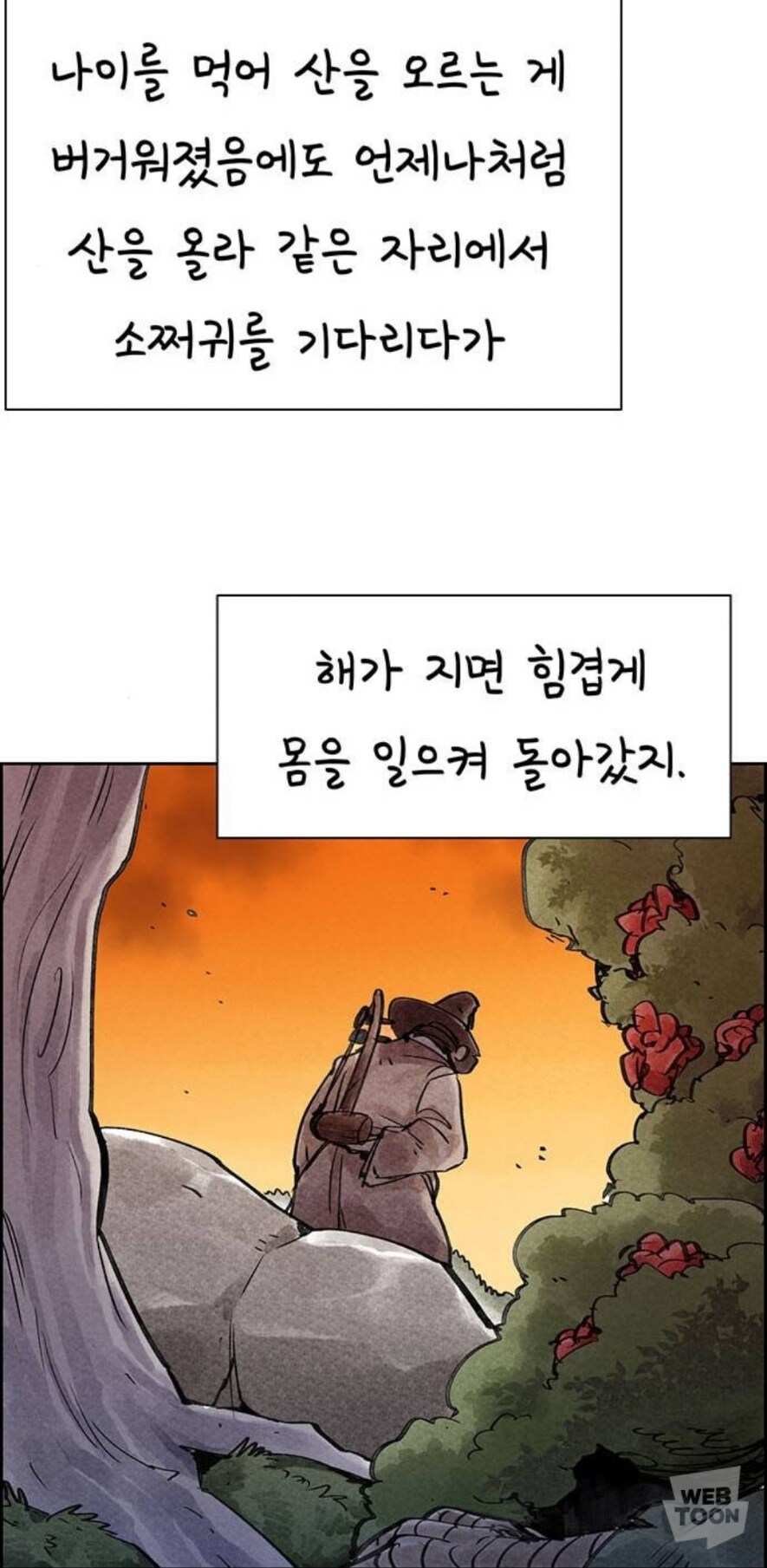 종이호랑이) 소쩌귀와 소리쟁이_80.jpg