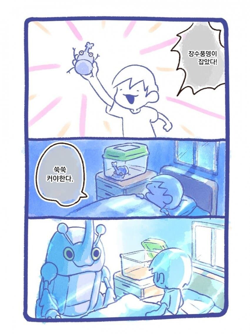 초희귀 장수붕댕이 잡았다!!_1.jpg