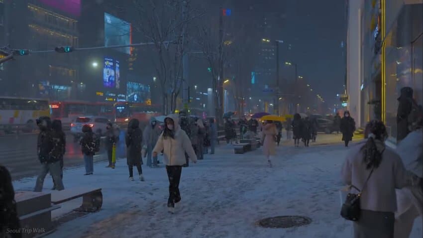 남미 소녀의 겨울 서울 풍경 감상_3.jpg