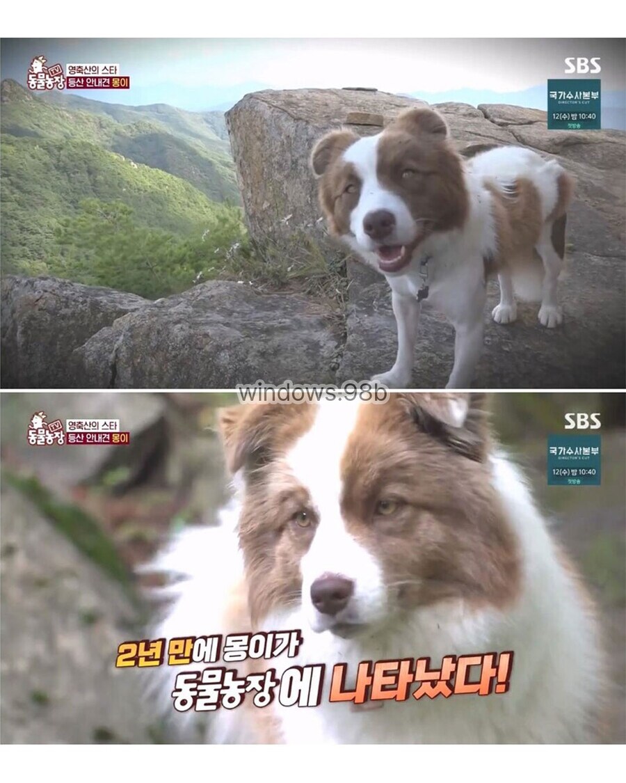 동물 전문가에게 욕먹은 동물농장_2.jpg