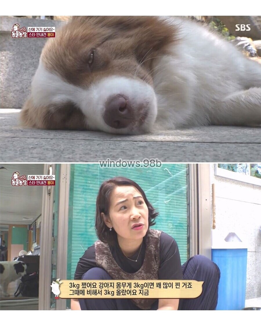 동물 전문가에게 욕먹은 동물농장_3.jpg