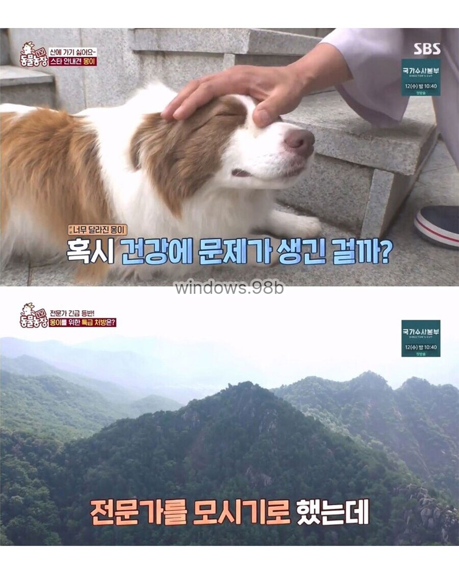 동물 전문가에게 욕먹은 동물농장_4.jpg