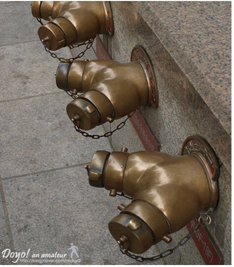 실패한 야스, 성공한 야스_2.jpg