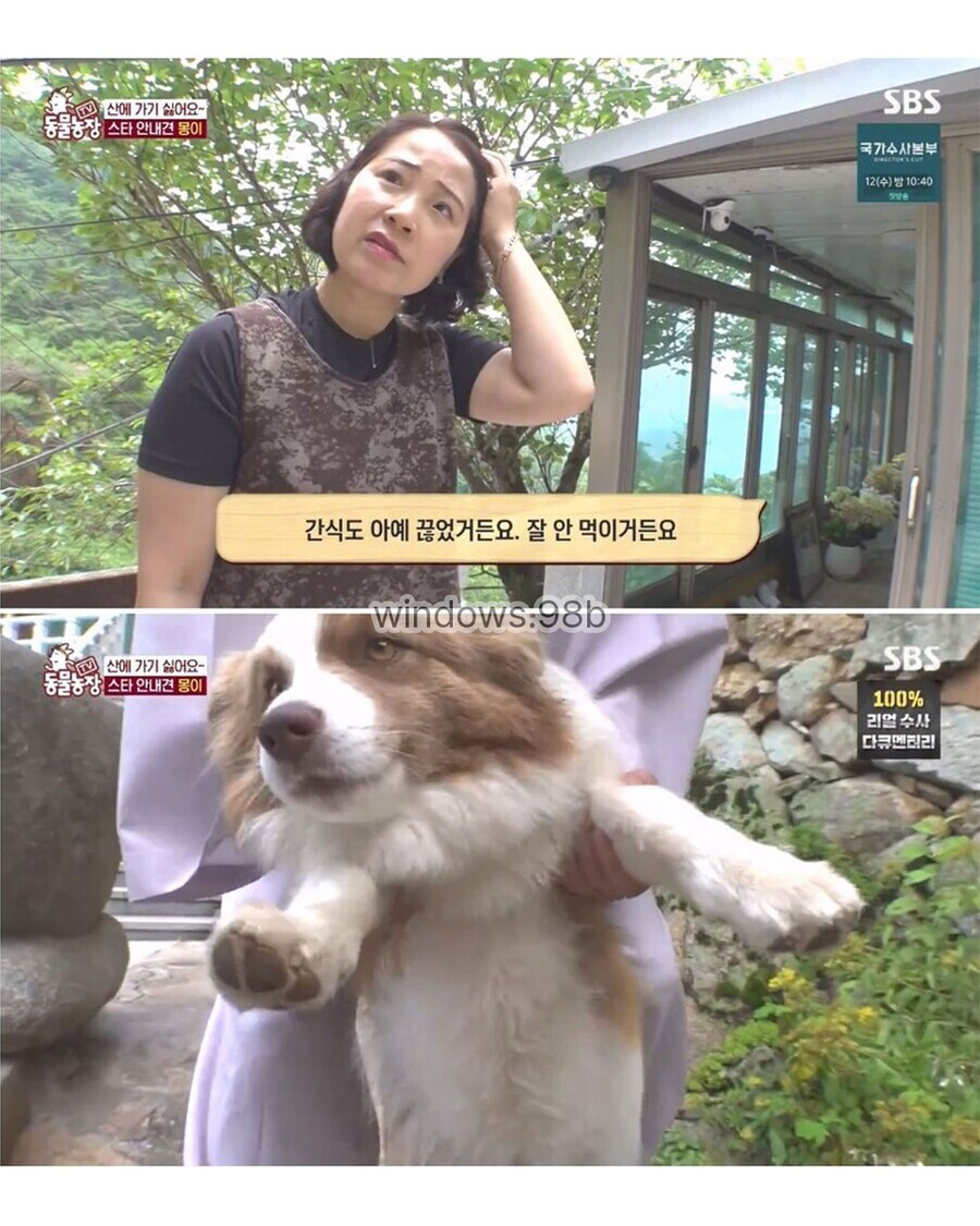 동물 전문가에게 욕먹은 동물농장_5.jpg