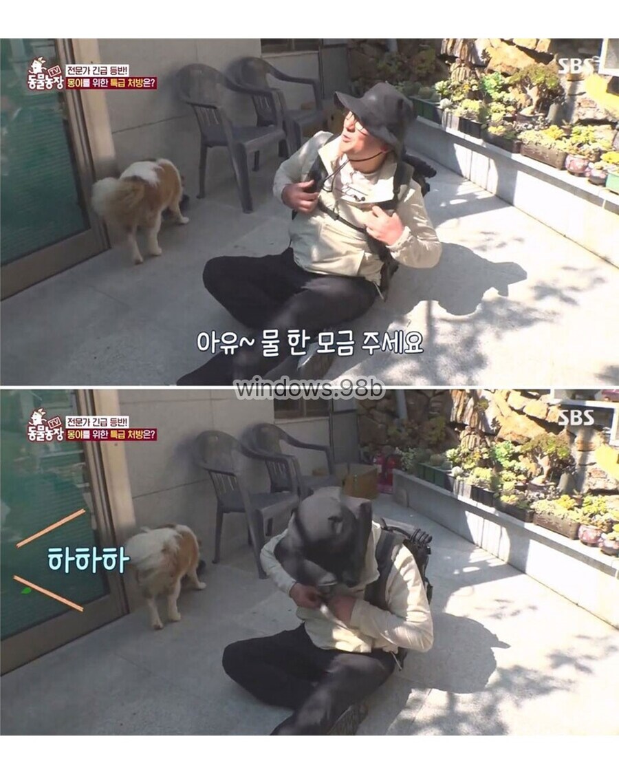 동물 전문가에게 욕먹은 동물농장_7.jpg