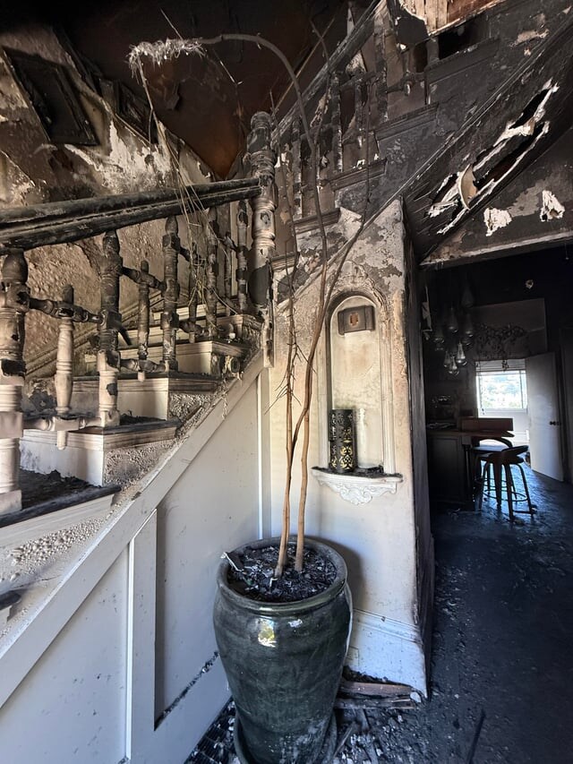 집에 불이 났던 사람.jpg_1.jpg