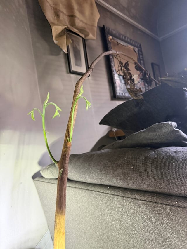 집에 불이 났던 사람.jpg_3.jpg