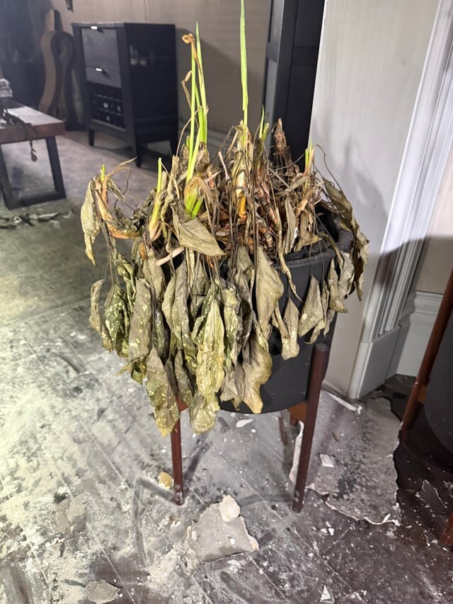 집에 불이 났던 사람.jpg_4.jpg