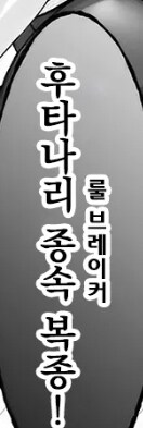 페이트 룰브레이커_2.jpg