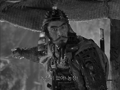 일본 전국시대 농민들의 애환_27.png