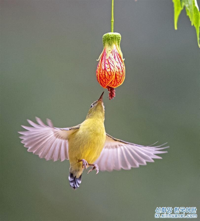 진짜 꿀빤 새대_1.jpg