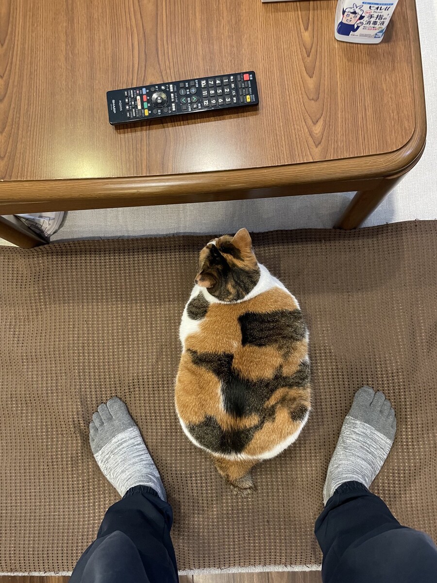 토실토실하게 살이 오른 것.jpg_1.jpg